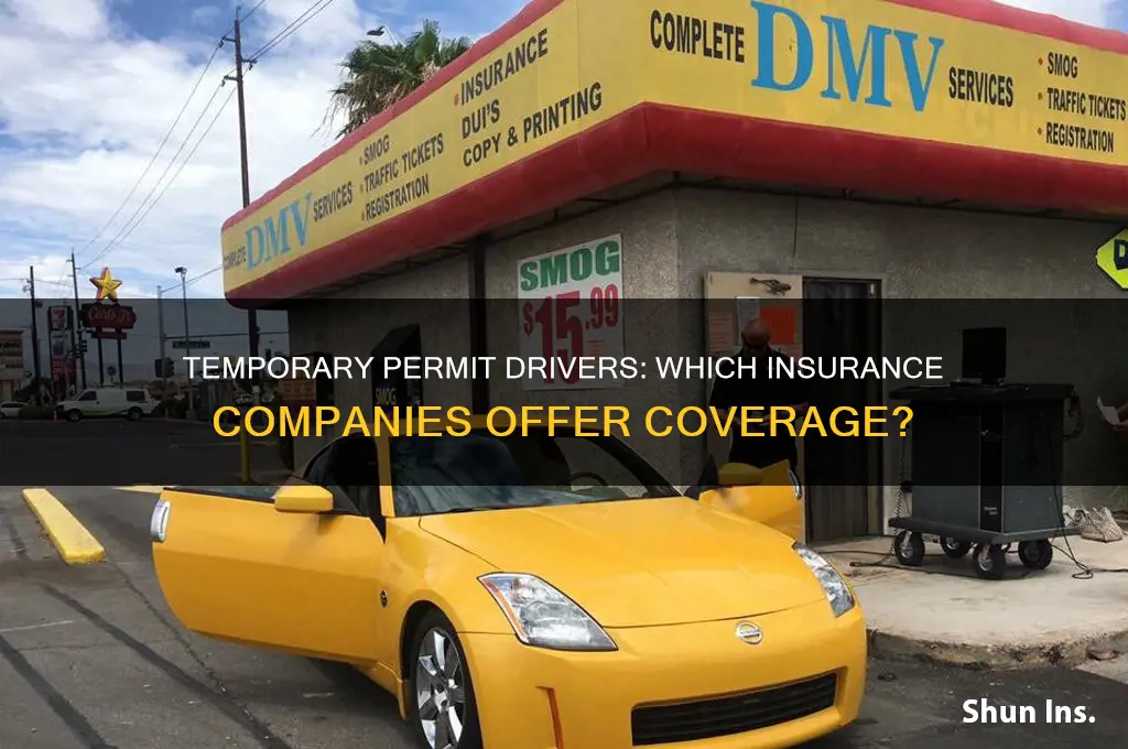 which companies insure temporary permit drivers