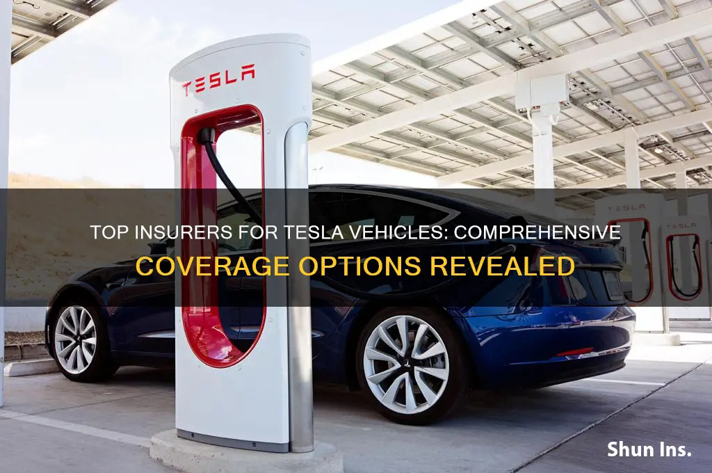 which companies insure tesla