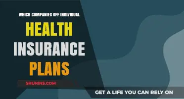 Top Companies Offering Individual Health Insurance Plans: A Comprehensive Guide