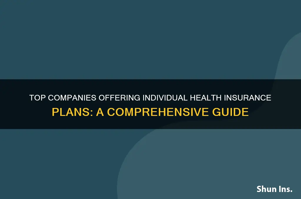 which companies off individual health insurance plans