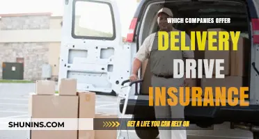 Top Companies Providing Delivery Driver Insurance: A Comprehensive Guide