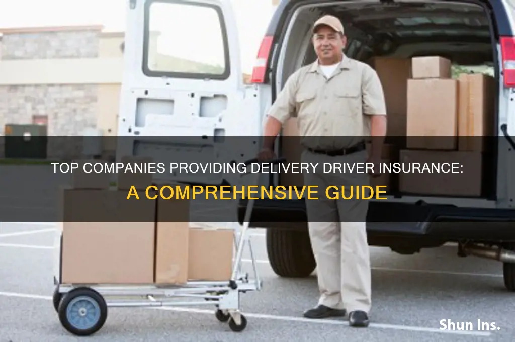 which companies offer delivery drive insurance