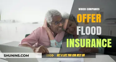 Top Companies Providing Flood Insurance: Your Comprehensive Coverage Guide