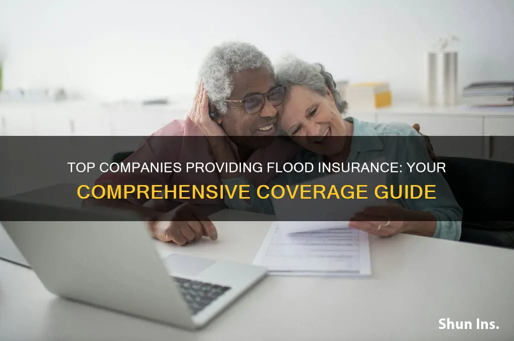which companies offer flood insurance