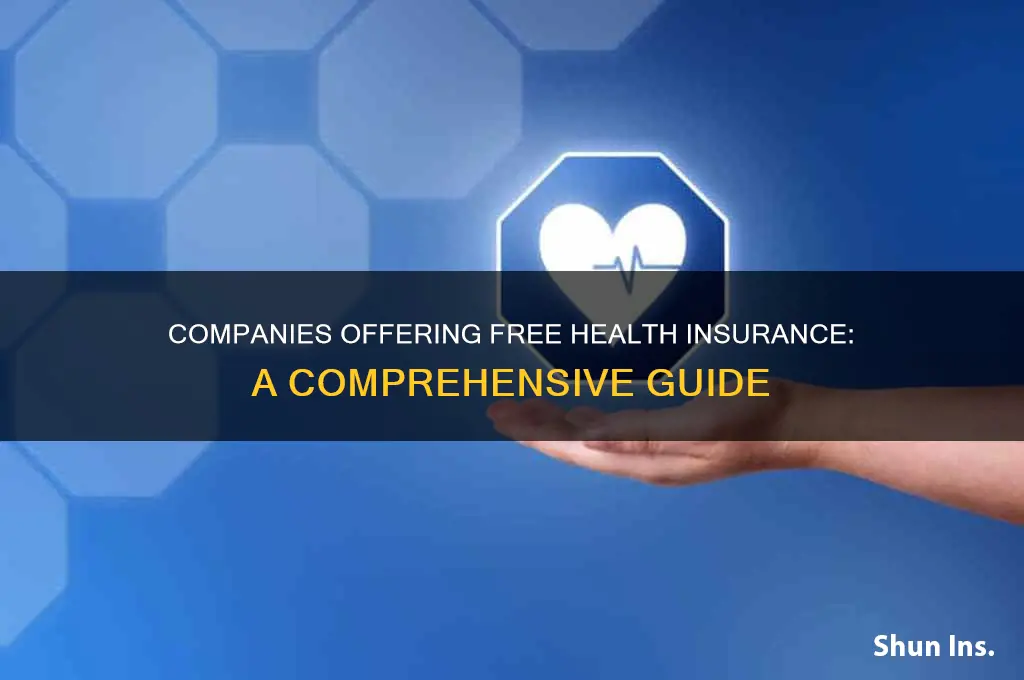 which companies offer free health insurance