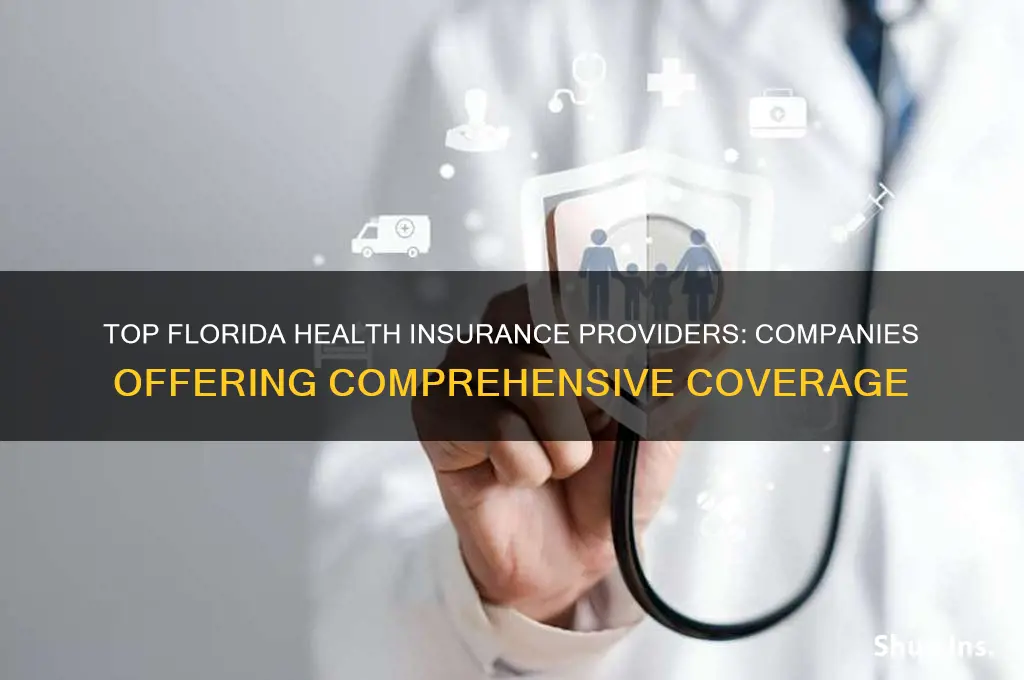 which companies offer health insurance in florida