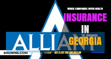 Top Health Insurance Providers in Georgia: A Comprehensive Guide
