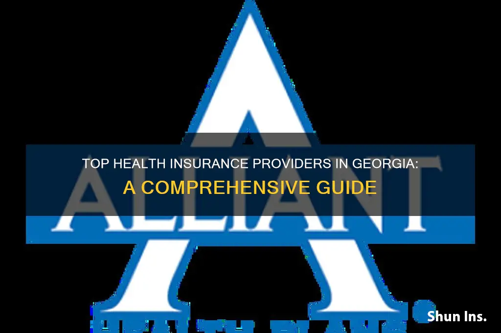 which companies offer health insurance in georgia