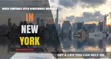 Top Homeowners Insurance Providers in New York: A Comprehensive Guide