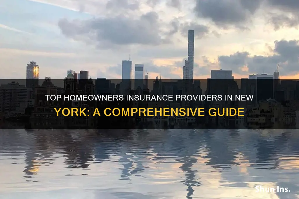 which companies offer homeowners insurance in new york