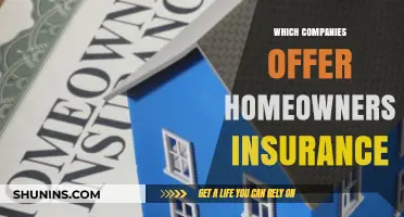 Top Homeowners Insurance Providers: A Comprehensive Guide to Leading Companies