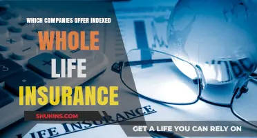 Top Companies Offering Indexed Whole Life Insurance Policies Today