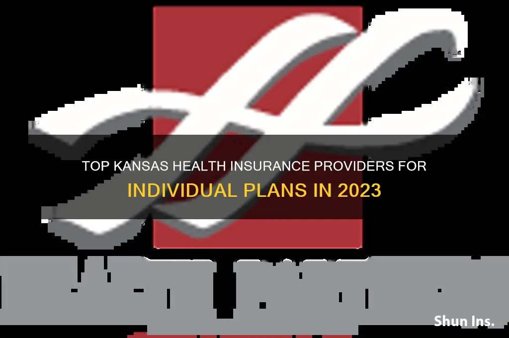 which companies offer individual health insurance in ks