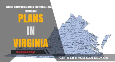 Top Virginia Health Insurance Providers: Individual Plan Options Revealed