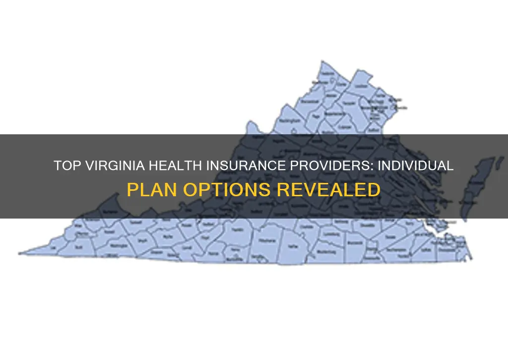 which companies offer individual health insurance plans in virginia