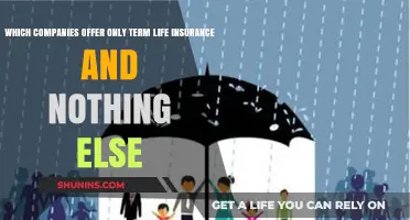 Pure Term Life Insurance: Companies Offering Solely Term Policies