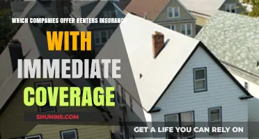 Top Companies Providing Instant Renters Insurance Coverage: A Quick Guide