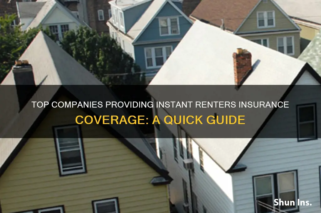 which companies offer renters insurance with immediate coverage