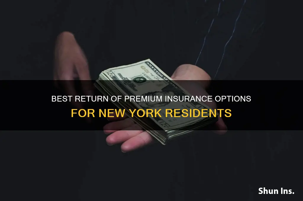 which companies offer return of premium insurance for ny residents