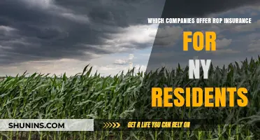 Top ROP Insurance Providers for New York Residents: A Comprehensive Guide