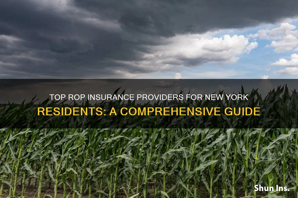 which companies offer rop insurance for ny residents