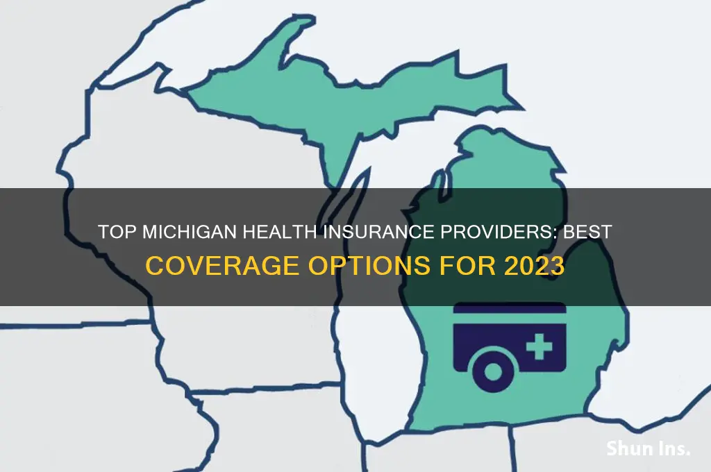 which companies offer the best health insurance in michigan