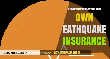Companies Providing Specialized Earthquake Insurance: A Comprehensive Guide