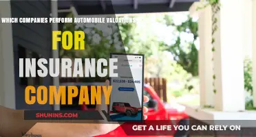 Top Companies Conducting Automobile Valuations for Insurance Providers