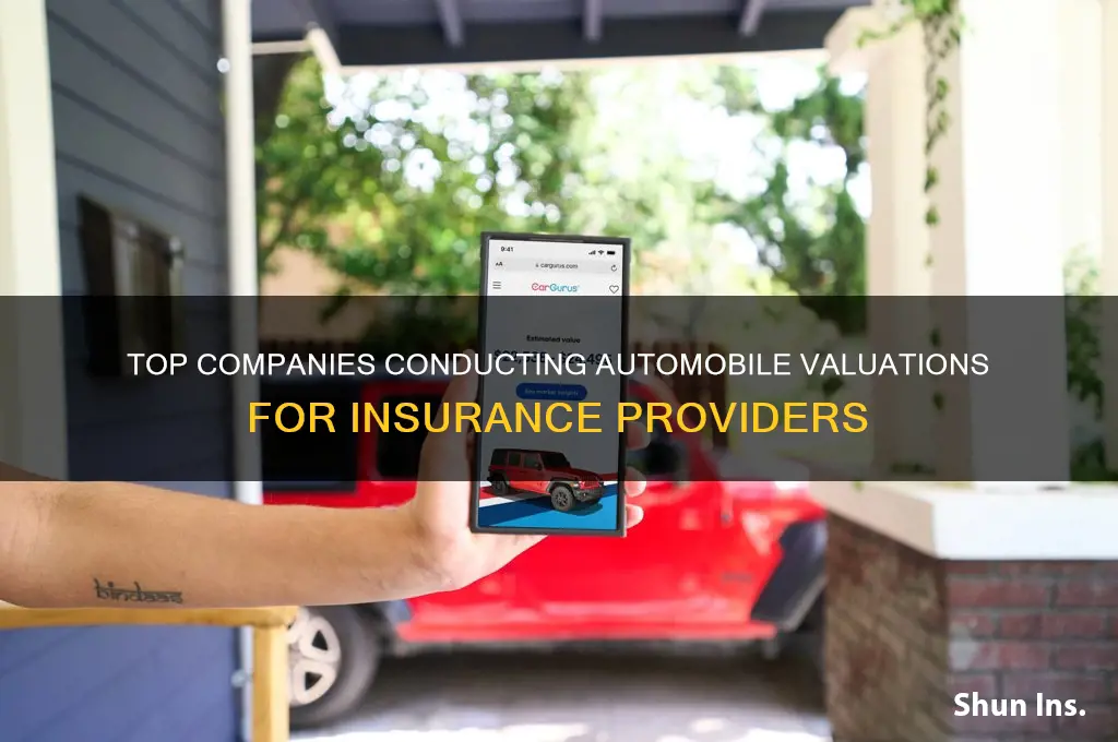 which companies perform automobile valuations for insurance company