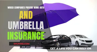 Home, Auto, and Umbrella Insurance: Which Companies Provide All?