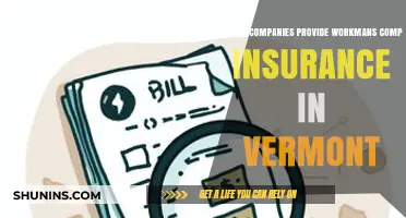 Top Vermont Workers' Comp Insurance Providers for Businesses