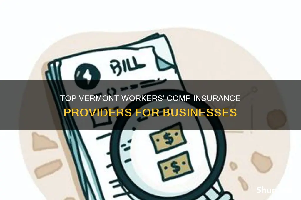 which companies provide workmans comp insurance in vermont