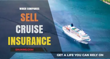 Top Cruise Insurance Providers: Protect Your Vacation Investment Today