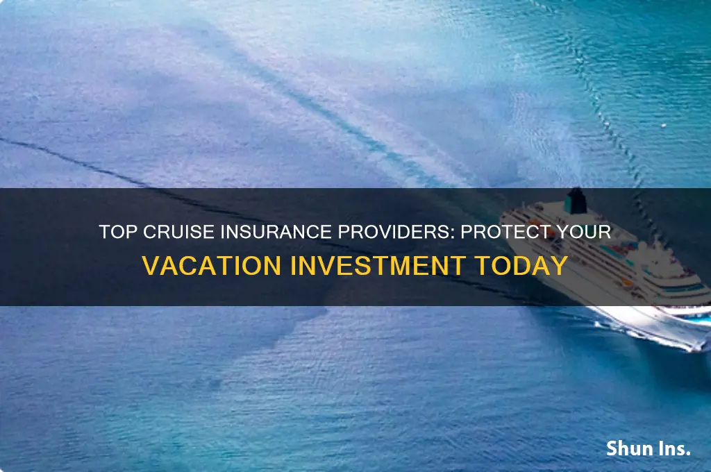 which companies sell cruise insurance