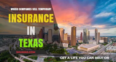 Top Texas Companies Offering Short-Term Insurance Policies for Residents