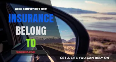Unveiling Drive Insurance: Discovering Its Parent Company and Ownership