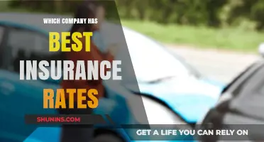Top Insurance Companies: Who Offers the Best Rates in 2023?