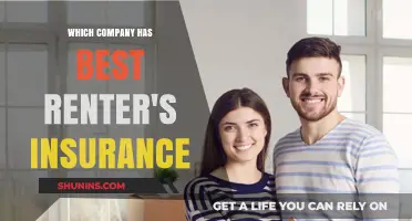 Top Renter's Insurance Companies: Who Offers the Best Coverage?