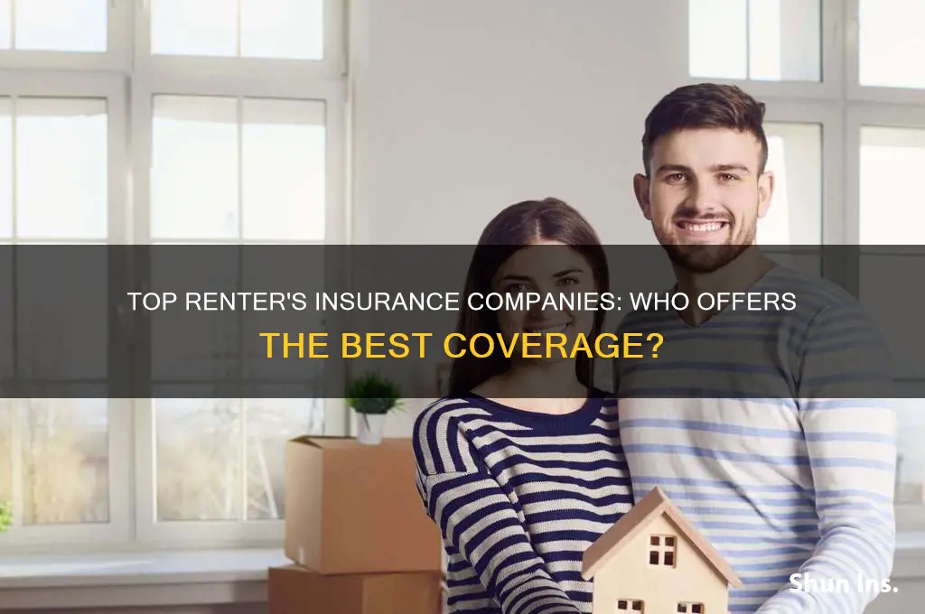 which company has best renter