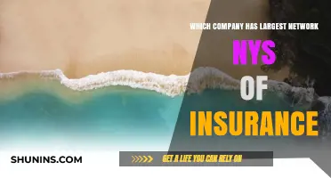 Largest Insurance Network in NYS: Which Company Dominates the Market?
