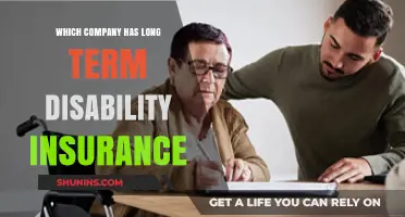 Top Companies Offering Long-Term Disability Insurance: A Comprehensive Guide