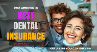 Top Dental Insurance Providers: Which Company Offers the Best Coverage?