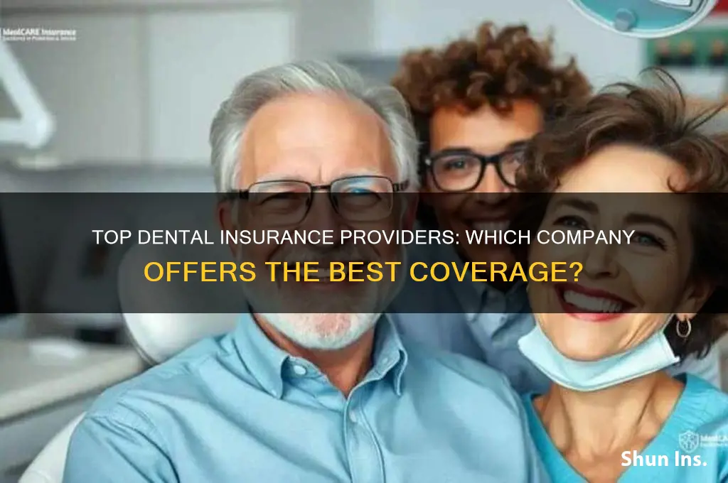 which company has the best dental insurance