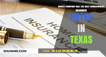 Top Texas Homeowners Insurance: Which Company Offers the Best Rates?