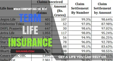 Top Term Life Insurance Providers: Who Offers the Best Coverage?