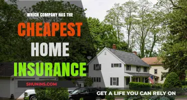 Affordable Home Insurance: Top Companies Offering the Cheapest Rates