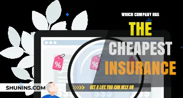Discover the Most Affordable Insurance Provider: A Comprehensive Cost Comparison