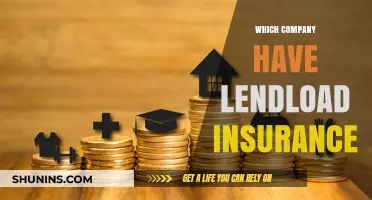 Top Companies Offering Lendload Insurance: A Comprehensive Guide