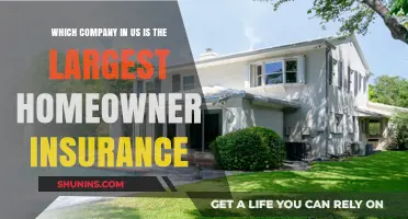 Discovering America's Top Homeowner Insurance Provider: Who Leads the Market?
