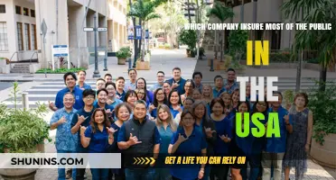 Top Insurer in the USA: Which Company Covers Most Americans?